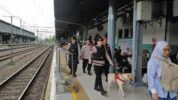 Perketat Pengamanan Penumpang di Stasiun Pasarsenen, KAI Daop 1 Jakarta Libatkan Anjing K9